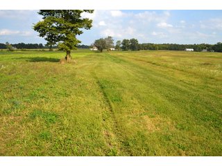 Dekalb County, Indiana Farmland - MAJOR LAND AUCTION - 516+/- ACRES OFFERED IN 18 TRACTS OR COMBINATIONS IN DEKALB COUNTY, INDIANA